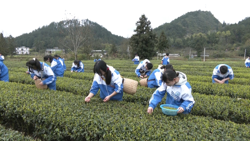 活动现场。