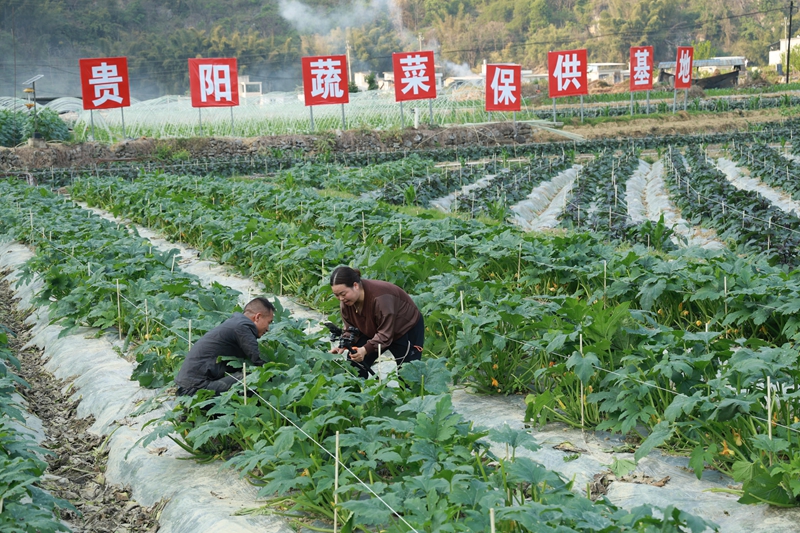 直播现场.JPG