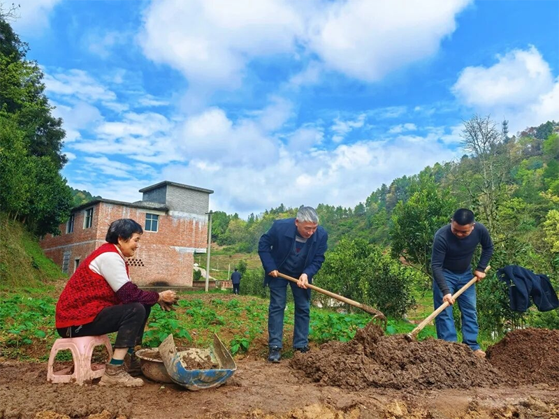合力拌营养土，马皇坝村玉米育苗忙。