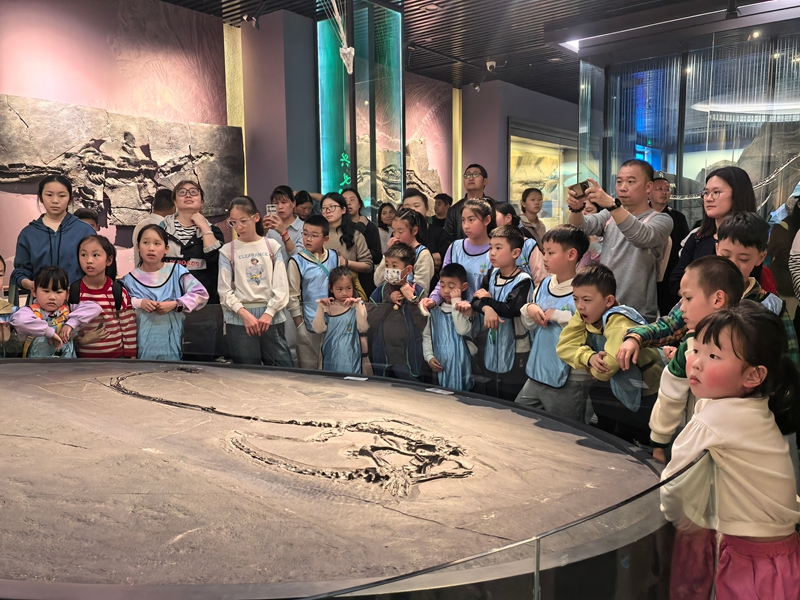 青少年专注聆听科普讲师介绍贵州地貌演变及化石相关知识.jpg