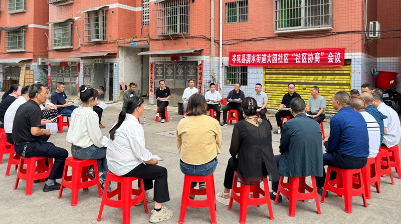 院坝会 (1)