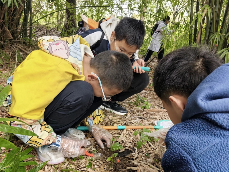走进自然动手采集野外生物样本。
