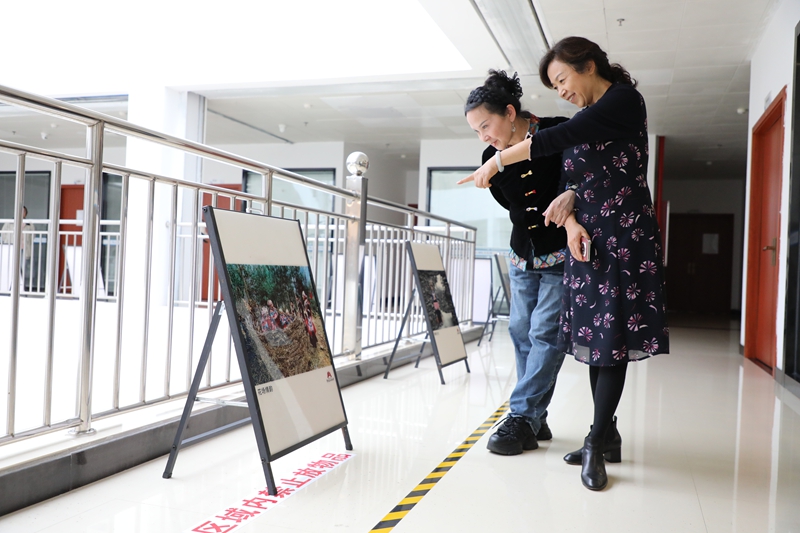 市民游客前来观展。