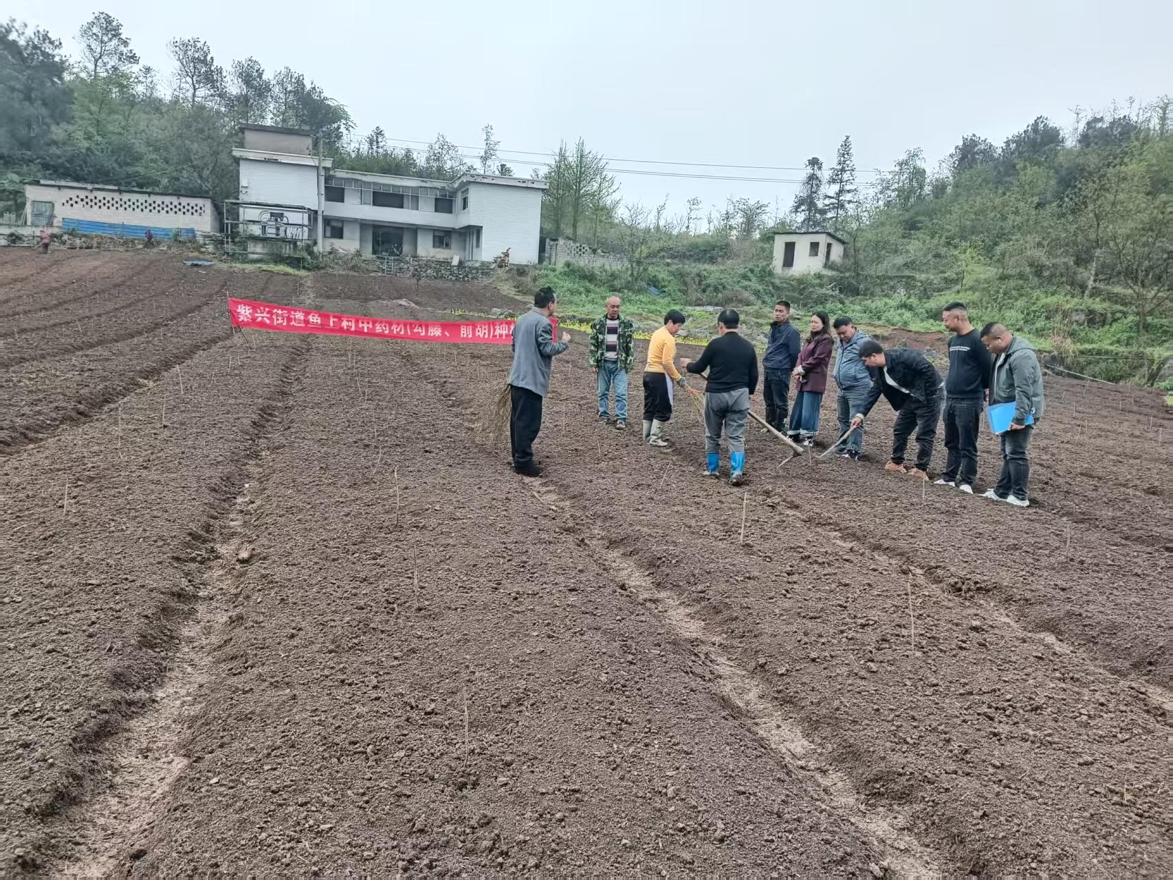 图为：：技术员给村民指导播种技巧