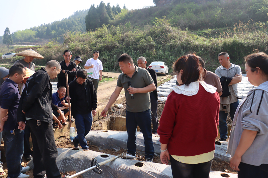 施秉县白垛乡烟叶站副站长对烟农进行烟苗移栽技术培训。邹鲜摄