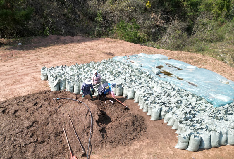 有机肥加工现场2