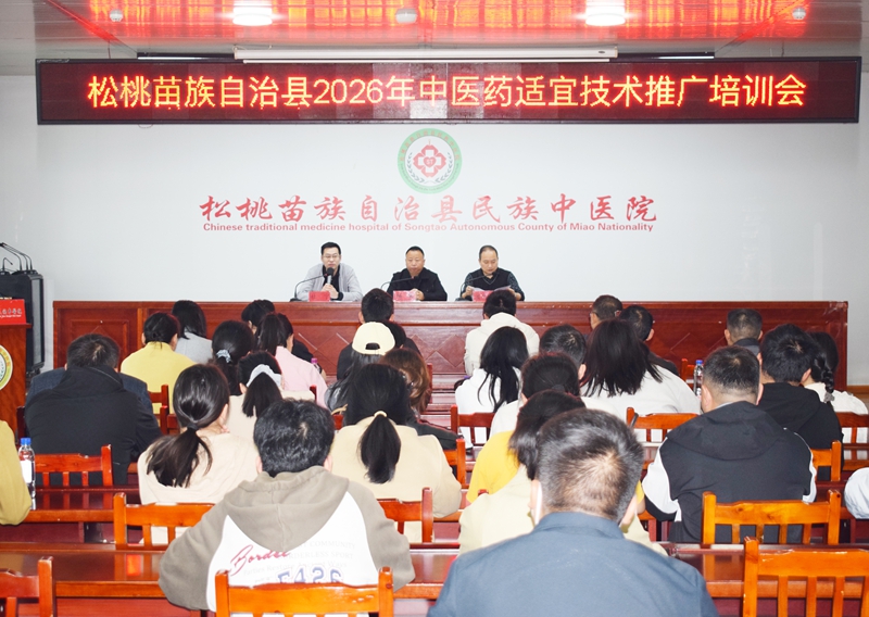 松桃为中医类专业技术人员充电蓄能。