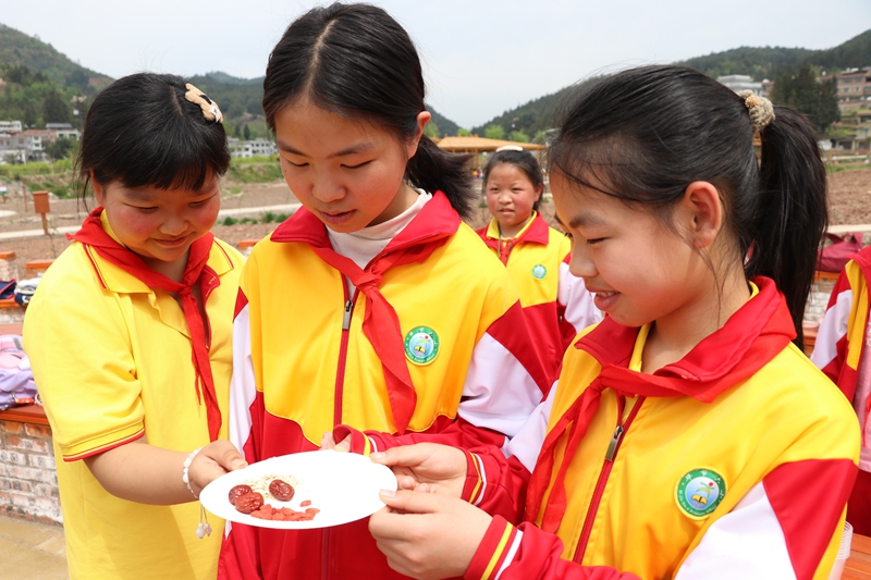 “碧水长歌”丁家寨研学基地 养生食材大闯关中，学生学习养生知识 邱雪 摄.jpg