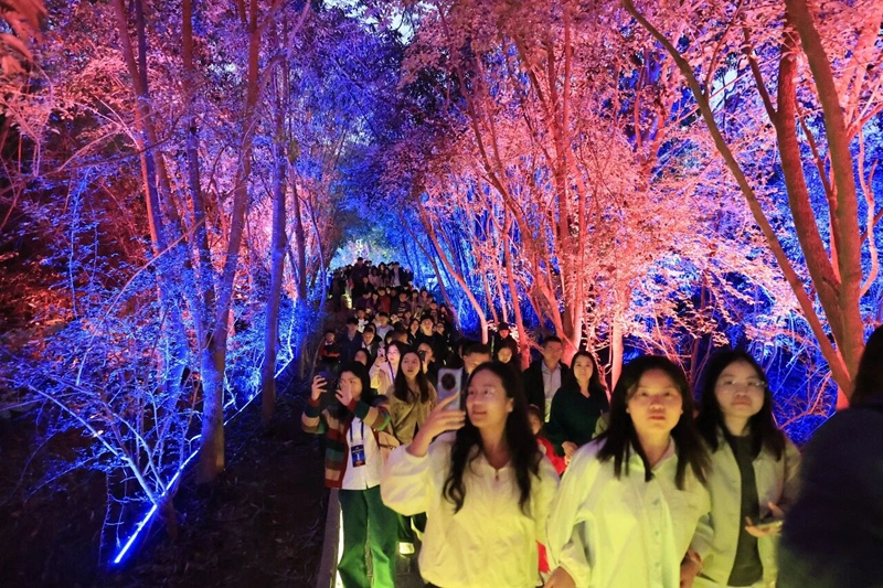 陡坡塘夜游人流如織.jpg