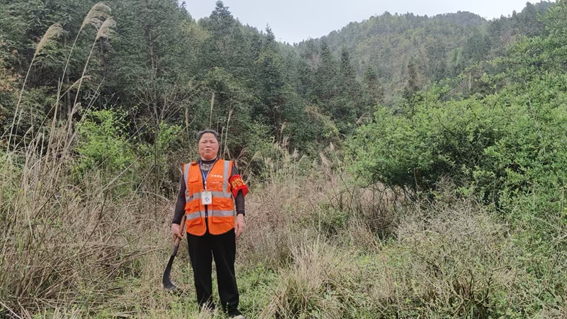 松桃普觉镇各村护林员在巡进山。
