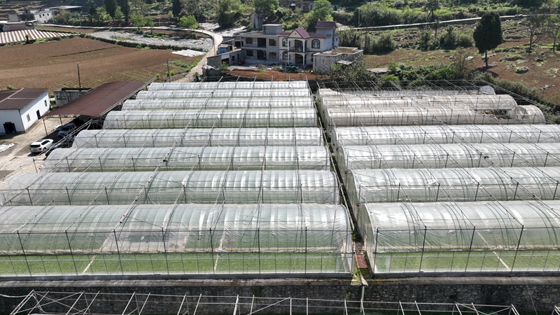 禹谟基地单元桃园育苗工场航拍。 曾加录摄.jpg