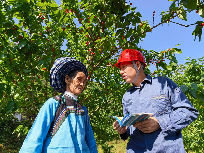 镇宁供电局工作人员向当地樱桃种植少数民族群众普及电费电价政策。