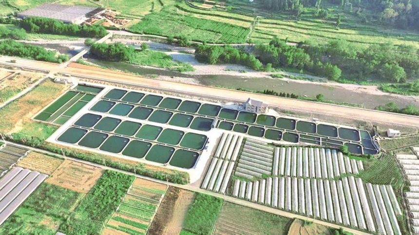 江口县冷水鱼养殖基地。