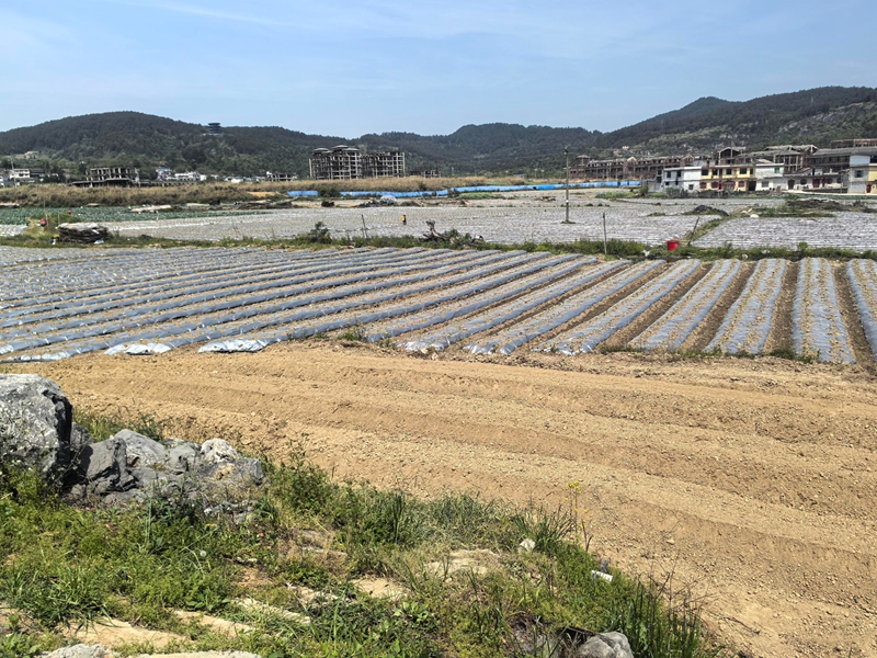 以粮食安全筑牢国家安全基层防线。