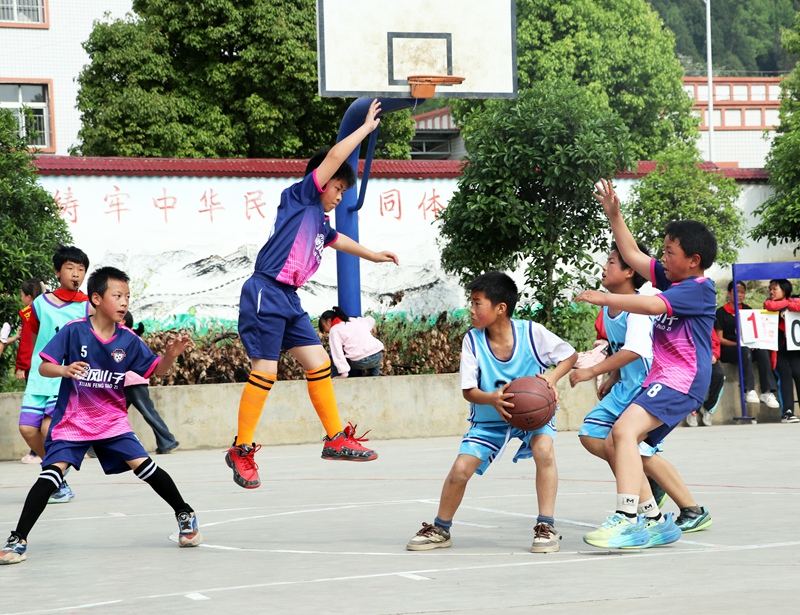 校园篮球联谊赛现场。