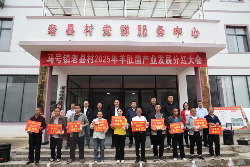 施秉县马号镇老县村羊肚菌产业发展分红大会。