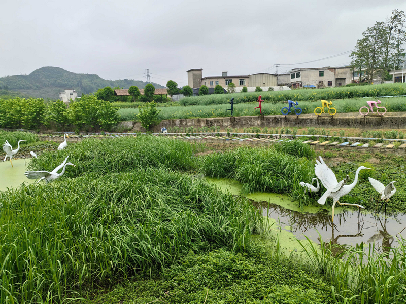 普源里康养步道。