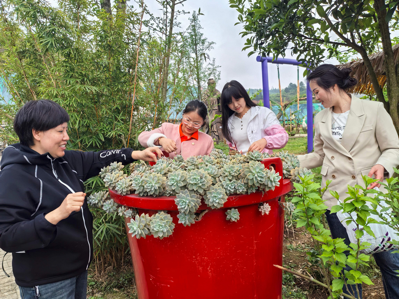 游客们正在对园内植物进行观赏研究。