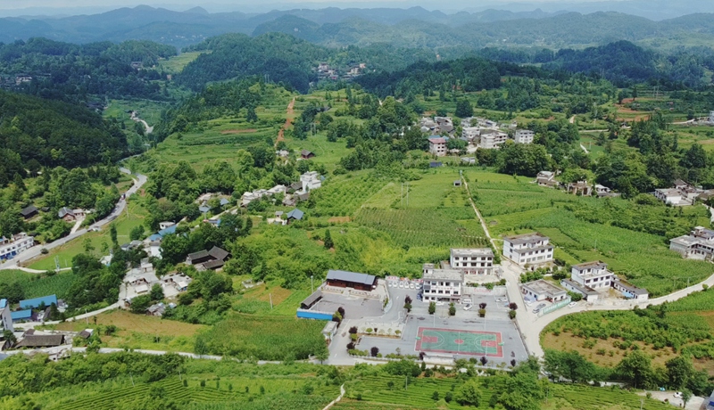 图为：和谐美丽的田坎村