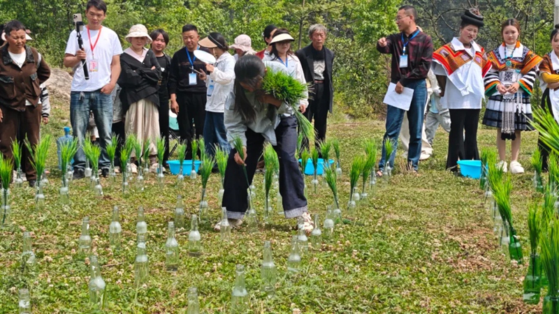 活动现场 (1)