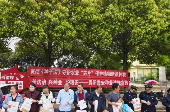 普法现场。