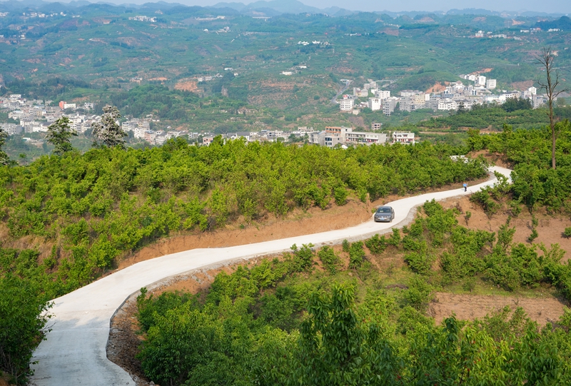 2026年4月15日，贵州省毕节市纳雍县维新镇坪子村，进园采摘的车辆行驶在刚修的产业路上。 杨英 摄.jpg