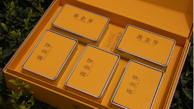 黃金芽產業.jpg
