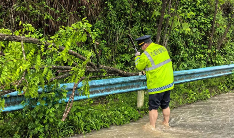 暴雨致树木倒伏伸向路面 执法人员赤脚砍树保畅通