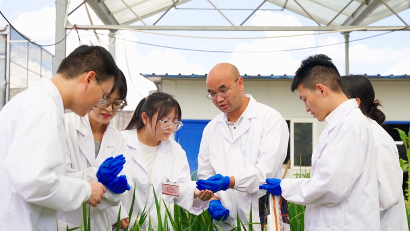 2.贵州大学环境专业的学生在观测记录治污植物的情况