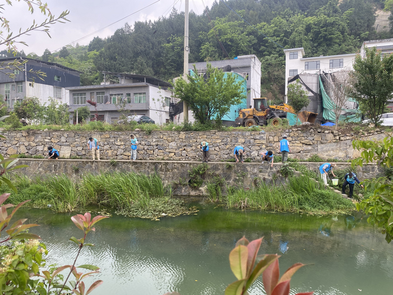 在仁怀市五马河畔，志愿者们沿河细致巡查，重点清理福寿螺成螺及虫卵。