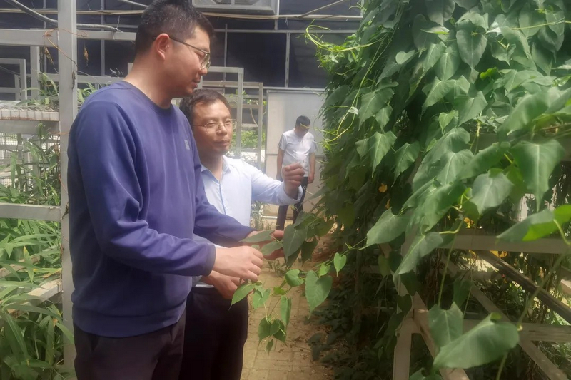 王俊杰在与校企合作公司专家进行交流。