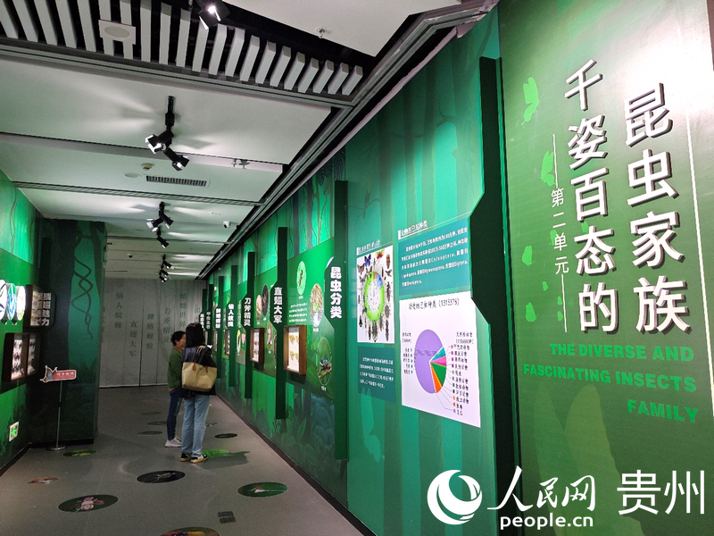 涅槃“虫声”——珍稀昆虫动物主题展厅。赵哲黎摄