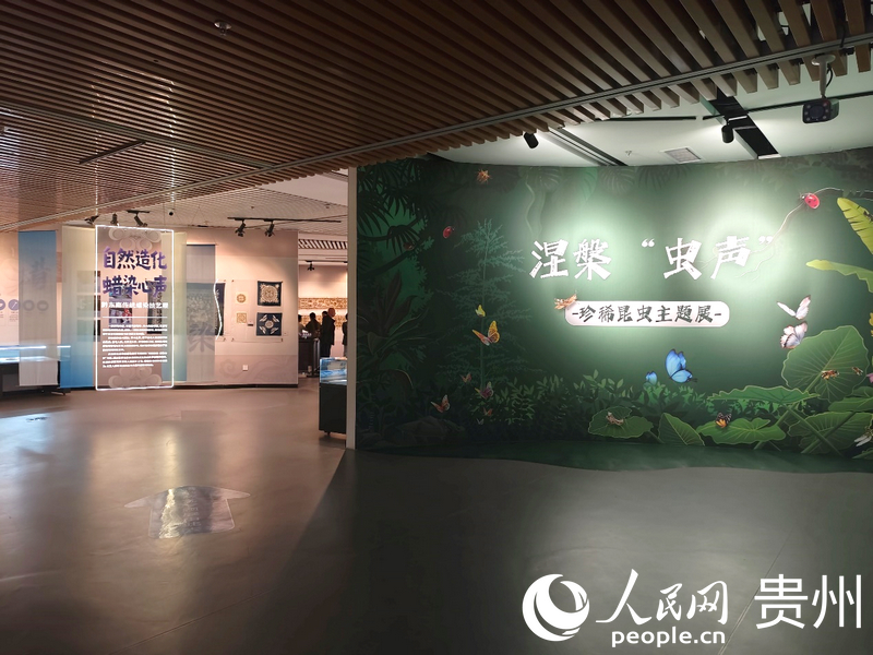 两大主题展览同步开放。赵哲黎摄
