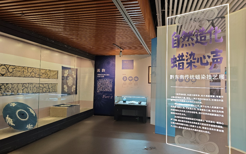 世界地球日贵州省地质博物馆双展诠释生命与人文之美