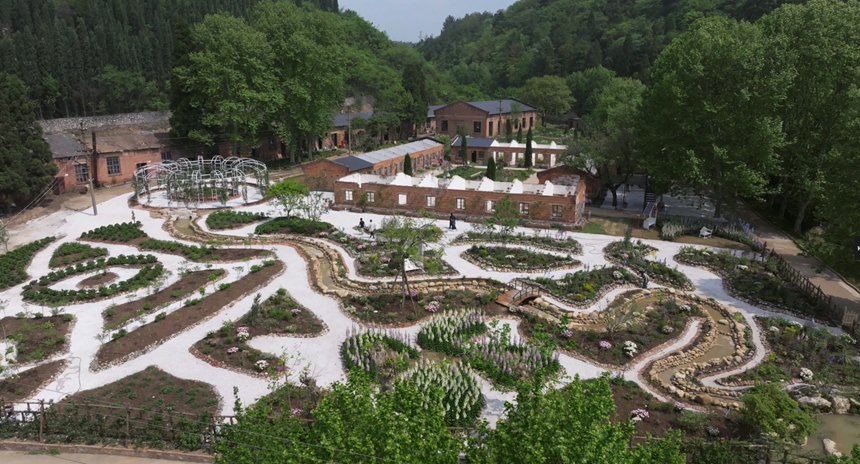 百日攻坚盘活资产建花园。