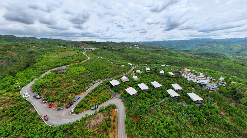 《万亩樱桃林》每年4月，贵州省纳雍县总溪河畔的万亩玛瑙红樱桃总是如约成熟上市。无人机 谢健锋 摄。 .jpg