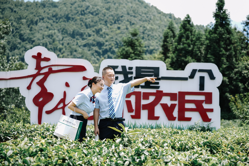 调研。