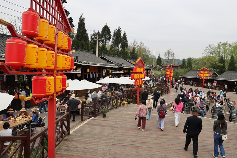 百里杜鹃景区。