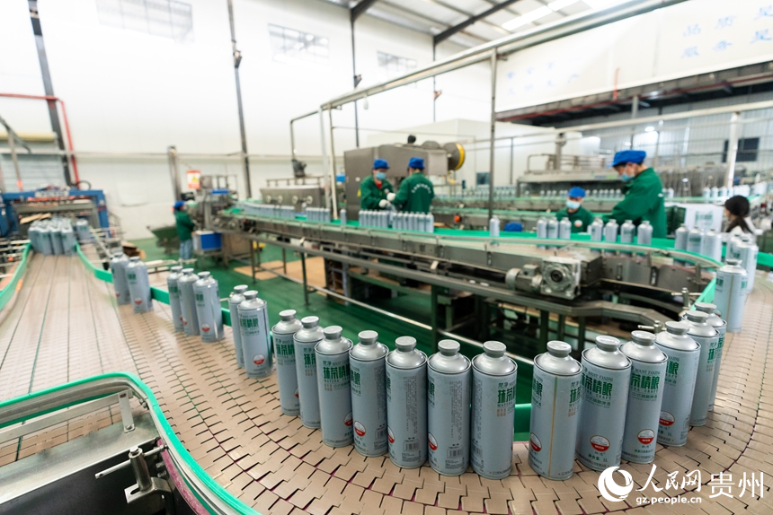 江口县凯德特色产业园区内，工人正在抓紧生产抹茶精酿啤酒供应市场。人民网记者 涂敏摄