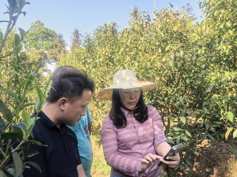 贵州大学牛素贞团队赋能普安茶产业高质量发展。