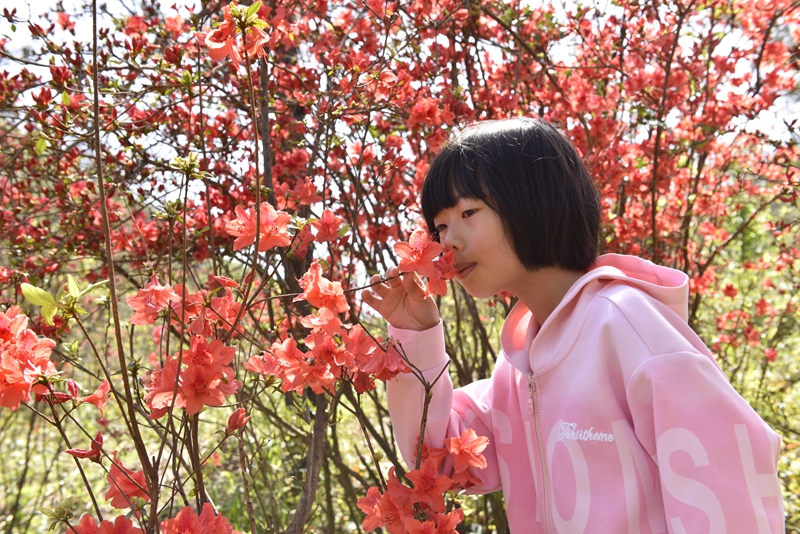 游客在闻花香 (1).JPG