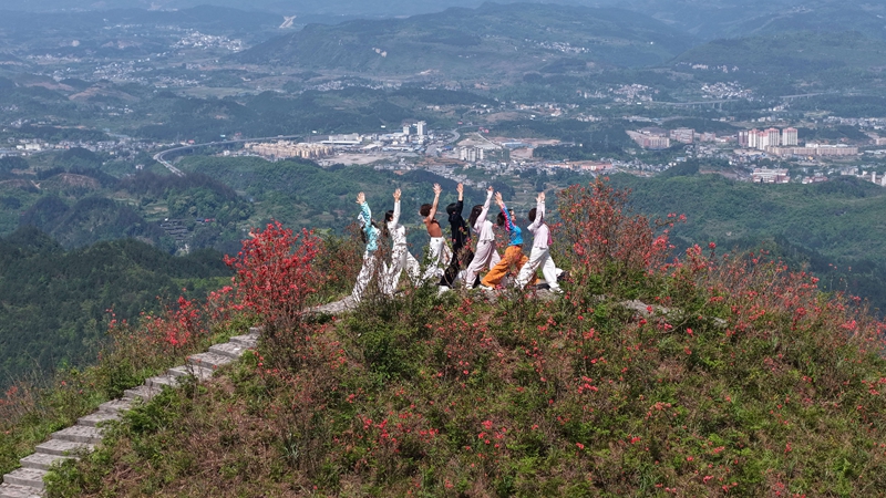 游客在映山红丛中留影 (2).JPG