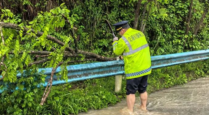 暴雨致树木倒伏伸向路面 执法人员赤脚砍树保畅通