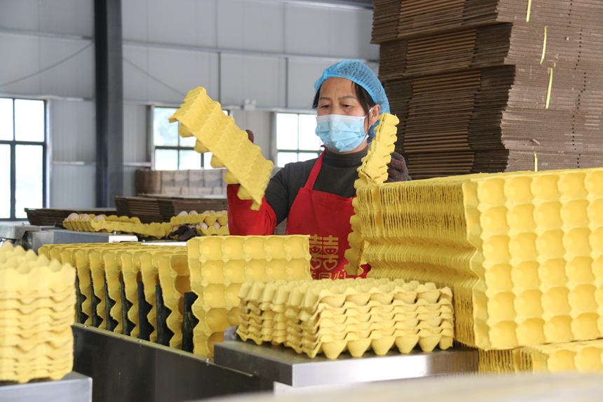 工人有条不紊，分工有序进行分拣、贴标、装箱、打包等工作。