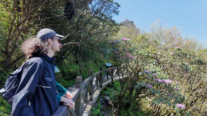外国游客在梵净山景区赏杜鹃花。