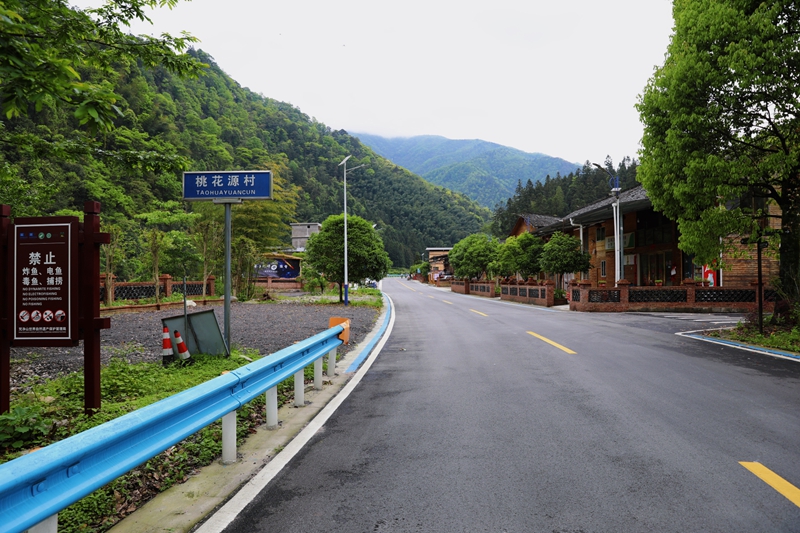 G654線與桃花源路旅相融.jpg