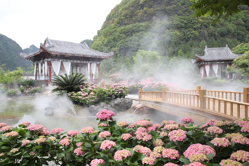 福鹿园一角 (1).JPG