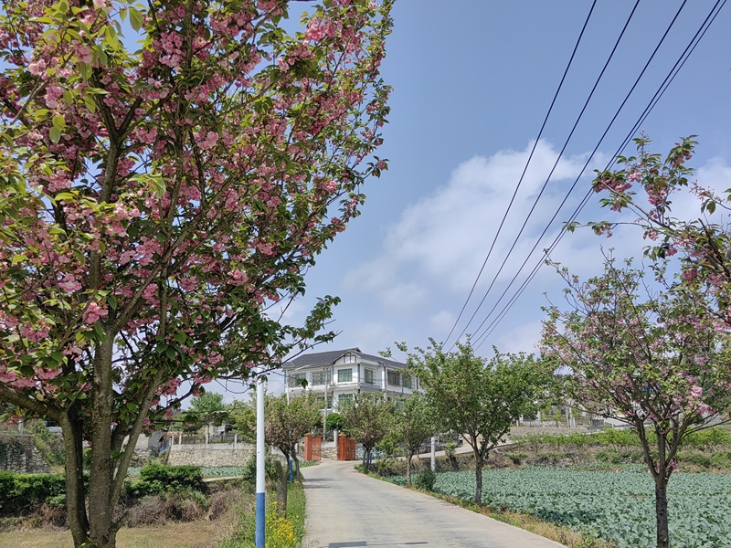 息烽縣石硐鎮前豐村村容村貌.jpg