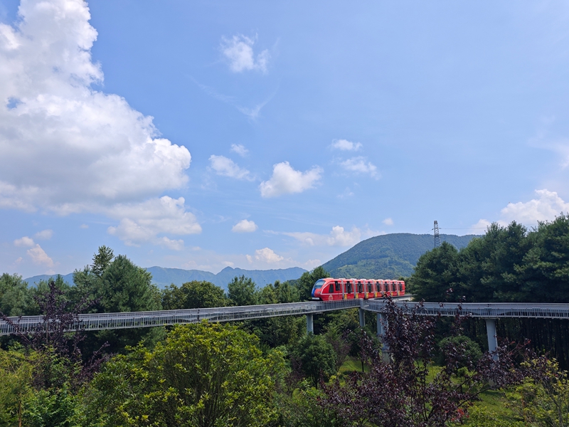 野玉海景区观光小火车穿梭在山林美景之间。 何梅 摄.jpg