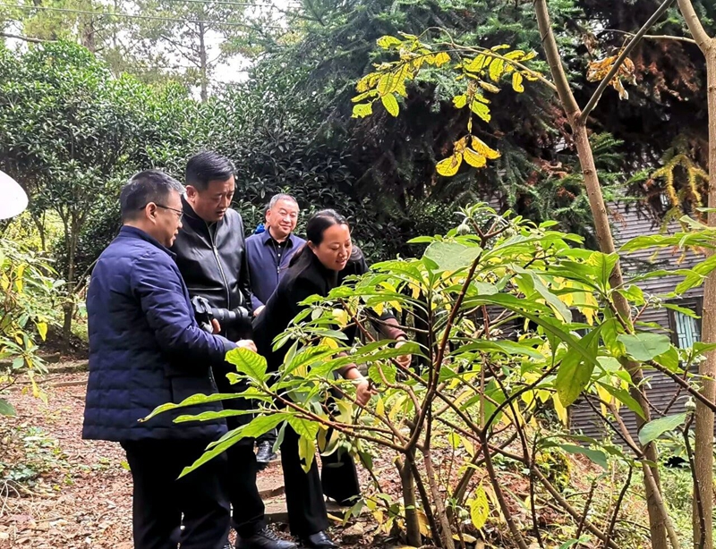 商议规划现场图片（2）.jpg